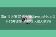 真的很大吗 网站地图Sitemap对seo提升的关键性 (真的很大很大歌词)
