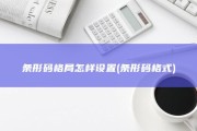 条形码格局怎样设置 (条形码格式)