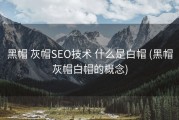 黑帽 灰帽SEO技术 什么是白帽 (黑帽灰帽白帽的概念)