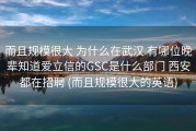 而且规模很大 为什么在武汉 有哪位晚辈知道爱立信的GSC是什么部门 西安都在招聘 (而且规模很大的英语)