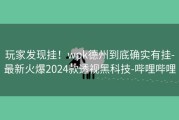 玩家发现挂！wpk德州到底确实有挂-最新火爆2024款透视黑科技-哔哩哔哩