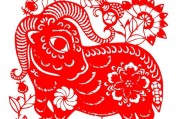君羊是什么软件 (君羊是啥)