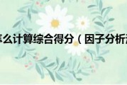 综合得分计算公式是什么啊 (综合得分计算公式)