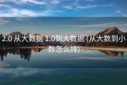 2.0 从大数据 1.0到大数据 (从大数到小数怎么排)