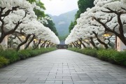 1月12日白荆回廊将上线，玩法优化及福利发放抢先看