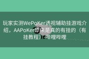 玩家实测WePoKer透视辅助挂游戏介绍，AAPoKer原来是真的有挂的（有挂教程）-哔哩哔哩