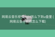 网易云音乐视频mp4怎么下到u盘里 (网易云音乐视频怎么下载)