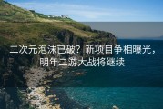 二次元泡沫已破？新项目争相曝光，明年二游大战将继续