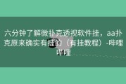 六分钟了解微扑克透视软件挂，aa扑克原来确实有挂的（有挂教程）-哔哩哔哩