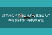新手怎么学习SEO技术大量SEO入门教程 (新手怎么学网络运营)