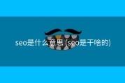 seo是什么意思 (seo是干啥的)