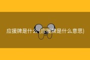 应援牌是什么 (应援牌是什么意思)
