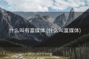 什么叫有富媒体 (什么叫富媒体)