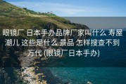 眼镜厂 日本手办品牌厂家叫什么 寿屋 潮儿 这些是什么 景品 怎样搜查不到 万代 (眼镜厂日本手办)