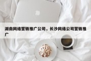 湖南网络营销推广公司，长沙网络公司营销推广