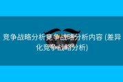 竞争战略分析竞争战略分析内容 (差异化竞争战略分析)