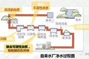 如何经过seo优化处置网站首页被降权的疑问 (如何经过狮驼岭)