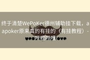 终于清楚WePoKer德州辅助挂下载，aapoker原来真的有挂的（有挂教程）-哔哩哔哩