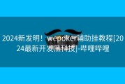 2024新发明！wepoker辅助挂教程[2024最新开发黑科技]-哔哩哔哩