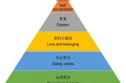 消费型属于什么行业 (消费型的)