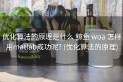 优化算法的原理是什么 鲸鱼 woa 怎样用matlab成功呢? (优化算法的原理)