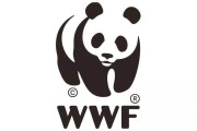 熊猫团体是国企还是央企