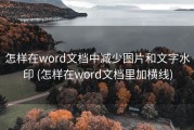 怎样在word文档中减少图片和文字水印 (怎样在word文档里加横线)