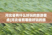 河北省有哪些市 (河北省有哪些市县区名称)