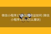 微信小程序1万人玩过收益如何 (微信小程序12333怎么撤诉)