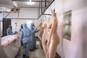大连“十三角关系”酒吧中的硅胶娃娃酒吧！