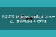 玩家发现挂！aapoker辅助挂-2024专业开发辅助透视-哔哩哔哩
