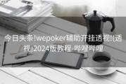 今日头条!wepoker辅助开挂透视!(透视)2024版教程-哔哩哔哩
