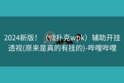 2024新版！（微扑克wpk）辅助开挂透视(原来是真的有挂的)-哔哩哔哩