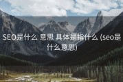 SEO是什么 意思 具体是指什么 (seo是什么意思)