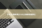 十大土鸡种类 (十大土鸡种类图片)