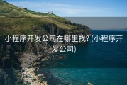小程序开发公司在哪里找? (小程序开发公司)