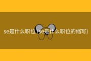 se是什么职位 (se是什么职位的缩写)