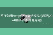 终于知道!wepOKer能透视吗!(透视)2024爆款平台(哔哩哔哩)