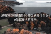 黑帽SEO和白帽SEO的区别是什么 (seo黑帽技术有哪些)