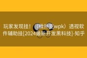 玩家发现挂！（微扑克wpk）透视软件辅助挂[2024最新开发黑科技]-知乎