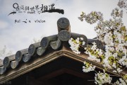 企业网站优化方案怎样写 (企业网站优化推广)