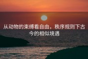从动物的束缚看自由，秩序规则下古今的相似境遇