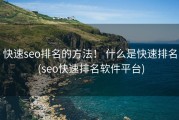快速seo排名的方法！ 什么是快速排名 (seo快速排名软件平台)