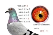 请大神帮看看 如何提升放慢运算速度！ matlab程序运转太慢 (请大神帮看看怎么说)