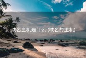 域名主机是什么 (域名的主机)