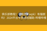 俱乐部教程！（微扑克wpk）有猫腻吗！2024平台专用透视辅助-哔哩哔哩