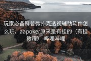 玩家必备科普微扑克透视辅助软件怎么玩，aapoker原来是有挂的（有挂教程）-哔哩哔哩