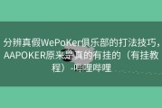 分辨真假WePoKer俱乐部的打法技巧，AAPOKER原来是真的有挂的（有挂教程）-哔哩哔哩