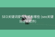 SEO关键词提升方式有哪些 (seo关键词优化软件)