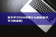 新手学习SEO须要什么基础 (新手学习做油条)